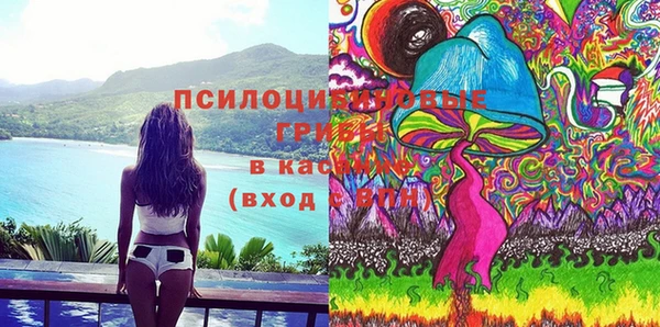ECSTASY Вяземский