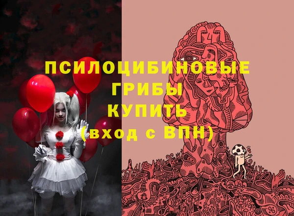 apvp Горно-Алтайск