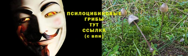 COCAINE Горнозаводск