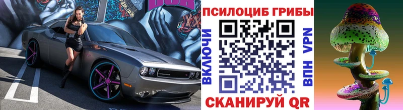 Купить где Красноармейск Галлюциногенные грибы Magic Shrooms